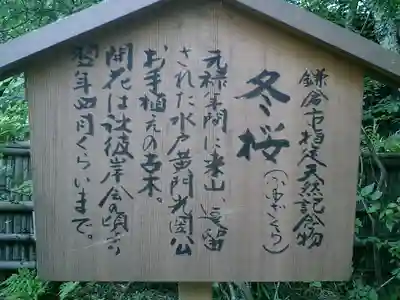 瑞泉寺の歴史