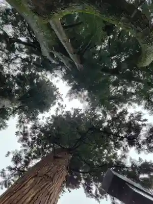 妙義神社(群馬県)