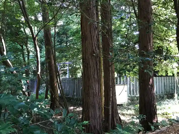 井伊谷宮(静岡県)