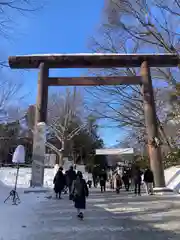 北海道神宮(北海道)