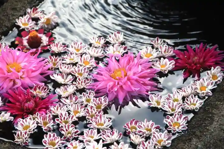 大鏑神社の手水舎