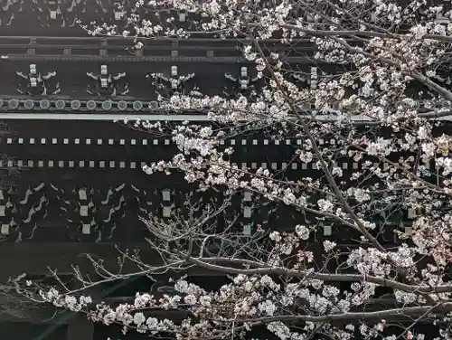 くろ谷 金戒光明寺(京都府)