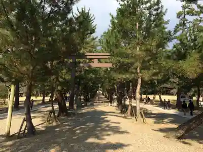 出雲大社(島根県)