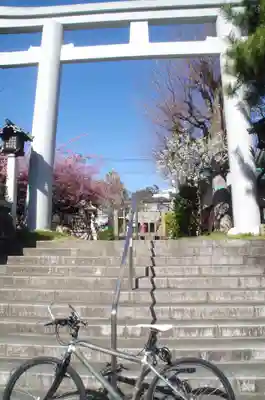 新宿下落合氷川神社の鳥居