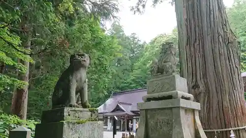 戸隠神社中社の狛犬