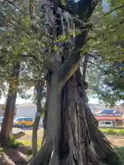 八坂神社(神奈川県)