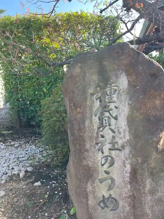 住吉大社の自然