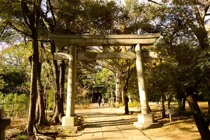 赤坂氷川神社の鳥居