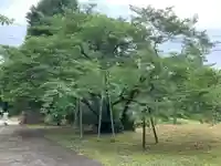 尊蓮院龍尾寺(千葉県)