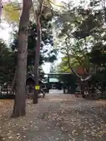 琴似神社(北海道)