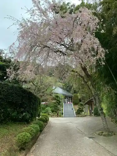 寶蔵寺の建物その他