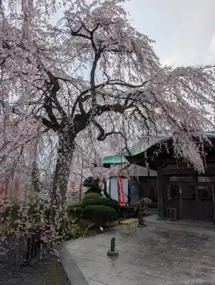 身照寺の{uncategorized: "未分類", other: "その他", undefined: "問題あり", building: "その他建物", grave: "お墓", sacred_gate: "鳥居", guardian: "狛犬", statue: "像", buddha: "仏像", history: "歴史", nature: "自然", garden: "庭園", animal: "動物", pagoda: "塔", temizu: "手水舎", mountain_gate: "山門・神門", sanctuary: "本殿・本堂", subordinate: "末社・摂社", art: "芸術", scenery: "景色", jizo: "地蔵", ema: "絵馬", goshuin: "御朱印", omikuji: "おみくじ", items: "授与品その他", amulet: "お守り", goshuincho: "御朱印帳", eats: "食事", festival: "お祭り", votive_dance: "神楽", shichigosan: "七五三参", wedding: "結婚式", experience: "体験その他", initially: "初詣", around: "周辺", anti_infection: "感染症対策"}