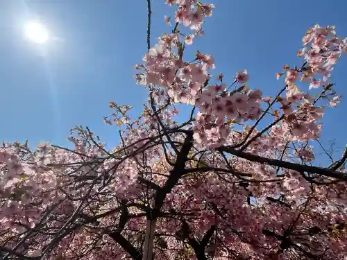 八大龍王辨財天の{uncategorized: "未分類", other: "その他", undefined: "問題あり", building: "その他建物", grave: "お墓", sacred_gate: "鳥居", guardian: "狛犬", statue: "像", buddha: "仏像", history: "歴史", nature: "自然", garden: "庭園", animal: "動物", pagoda: "塔", temizu: "手水舎", mountain_gate: "山門・神門", sanctuary: "本殿・本堂", subordinate: "末社・摂社", art: "芸術", scenery: "景色", jizo: "地蔵", ema: "絵馬", goshuin: "御朱印", omikuji: "おみくじ", items: "授与品その他", amulet: "お守り", goshuincho: "御朱印帳", eats: "食事", festival: "お祭り", votive_dance: "神楽", shichigosan: "七五三参", wedding: "結婚式", experience: "体験その他", initially: "初詣", around: "周辺", anti_infection: "感染症対策"}