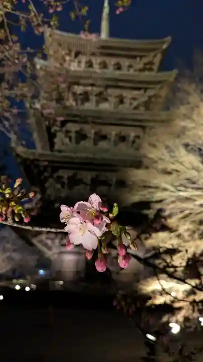 東寺(教王護国寺)(京都府)