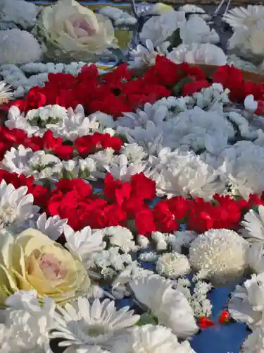 津島神社の手水舎
