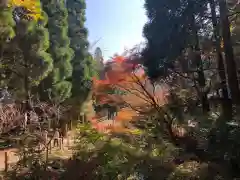 冠嶽神社の周辺