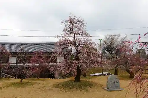 柳澤神社の庭園