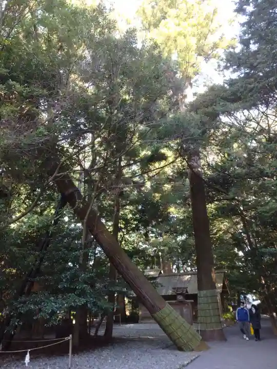 伊雜宮(皇大神宮別宮)の自然