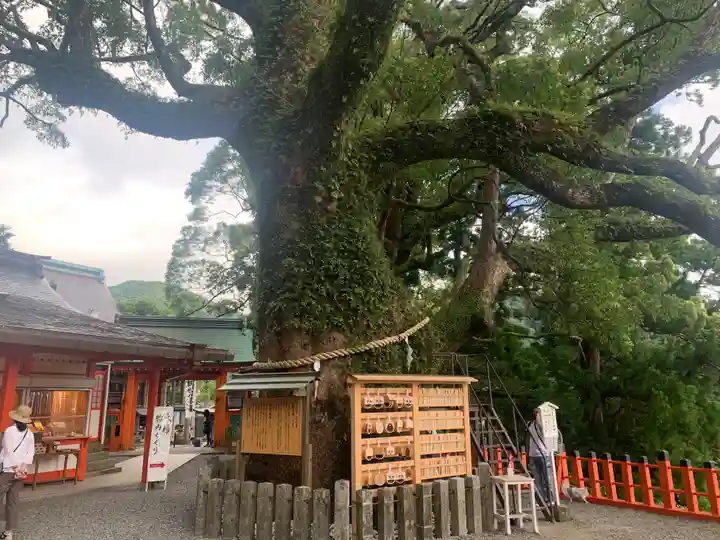 熊野那智大社の自然