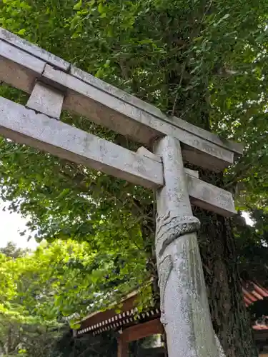 高円寺(東京都)