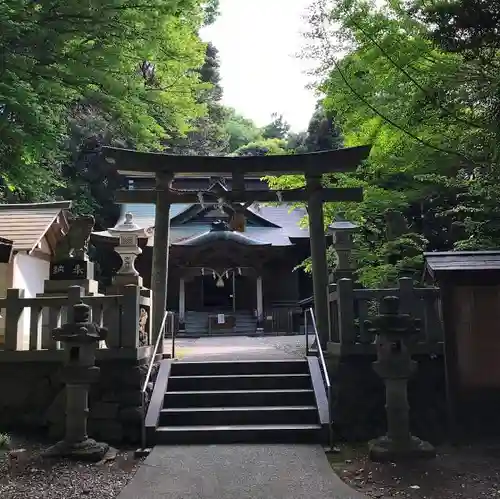 泉神社の鳥居