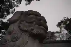 菅生神社の狛犬