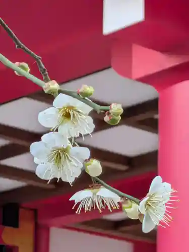 成子天神社(東京都)