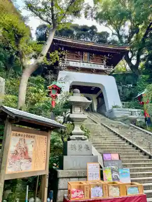 江島神社のおみくじ