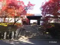 曼殊院門跡(京都府)