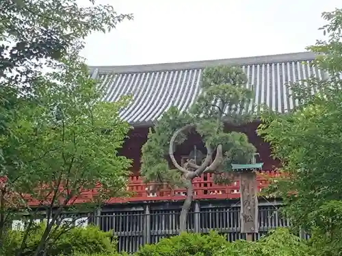 清水観音堂(東京都)