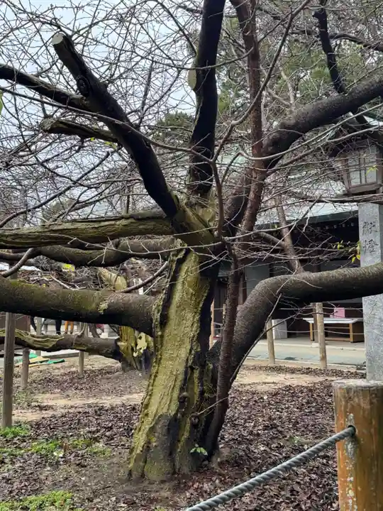 宮地嶽神社(福岡県)