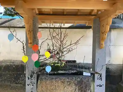 三津厳島神社(愛媛県)