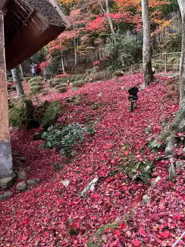 教林坊(滋賀県)