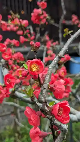 惠心院(京都府)