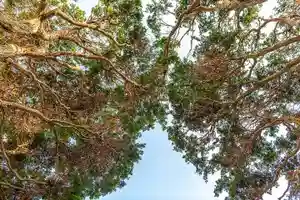 大久寺(神奈川県)(2025年07月04日(金) 17時19分14秒投稿)