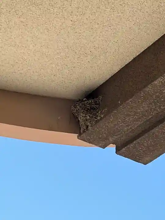 防府天満宮(山口県)