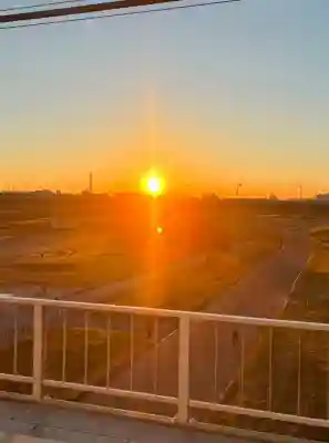 多摩川浅間神社の{uncategorized: "未分類", other: "その他", undefined: "問題あり", building: "その他建物", grave: "お墓", sacred_gate: "鳥居", guardian: "狛犬", statue: "像", buddha: "仏像", history: "歴史", nature: "自然", garden: "庭園", animal: "動物", pagoda: "塔", temizu: "手水舎", mountain_gate: "山門・神門", sanctuary: "本殿・本堂", subordinate: "末社・摂社", art: "芸術", scenery: "景色", jizo: "地蔵", ema: "絵馬", goshuin: "御朱印", omikuji: "おみくじ", items: "授与品その他", amulet: "お守り", goshuincho: "御朱印帳", eats: "食事", festival: "お祭り", votive_dance: "神楽", shichigosan: "七五三参", wedding: "結婚式", experience: "体験その他", initially: "初詣", around: "周辺", anti_infection: "感染症対策"}