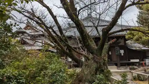 木食寺安祥院(京都府)