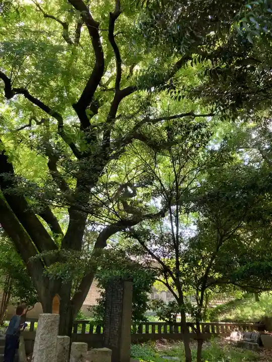 湯島聖堂(東京都)