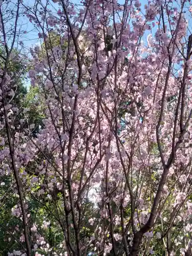 寒川神社(神奈川県)