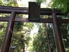 石上神宮の鳥居