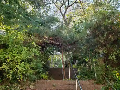 頼政神社の自然