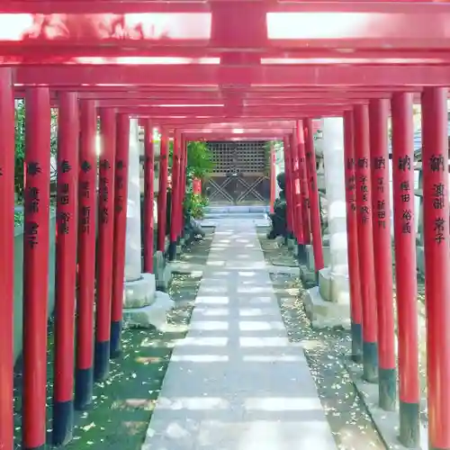 富岡八幡宮の鳥居