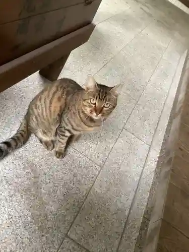 玉野御嶽神社の動物