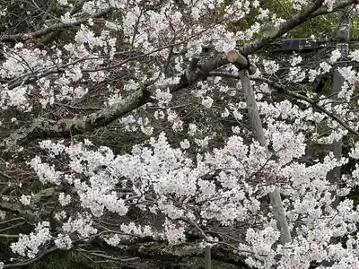 戒光寺（戒光律寺）(京都府)