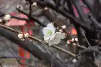 朝日森天満宮(栃木県)