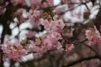 かっぱの寺 栖足寺の自然
