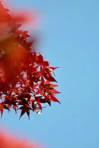 氷川女體神社(埼玉県)
