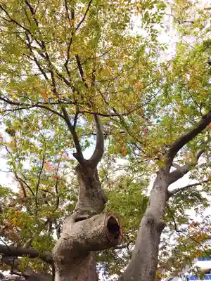 阿邪訶根神社(福島県)