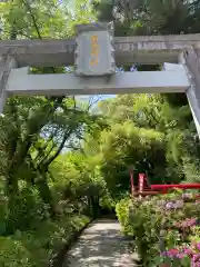 菊池神社の鳥居